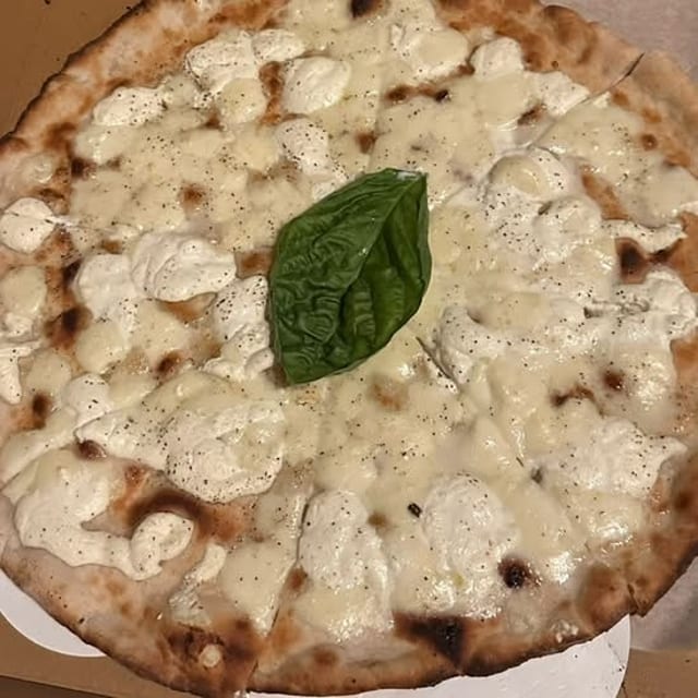 Medium Bianca.