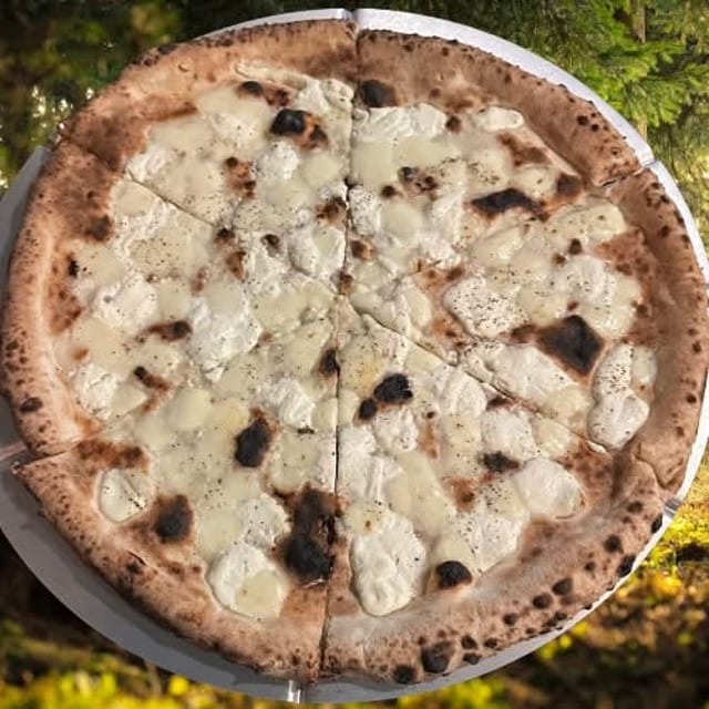 Large Bianca.
